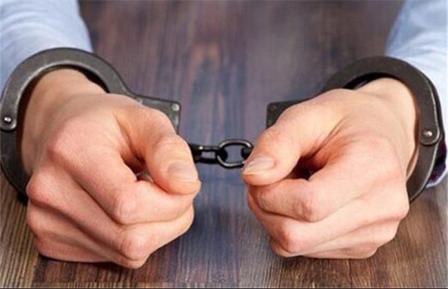دستگیری سارقان حرفه ای در بجنورد