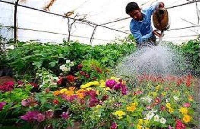 شهرداری بجنورد در تلاش برای بومی‌سازی چندین گیاه