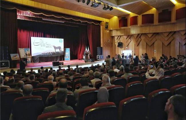تأکید مسئولان بر حفاظت از یوز آسیایی؛ میاندشت جاجرم در کانون توجه محیط‌زیست کشور