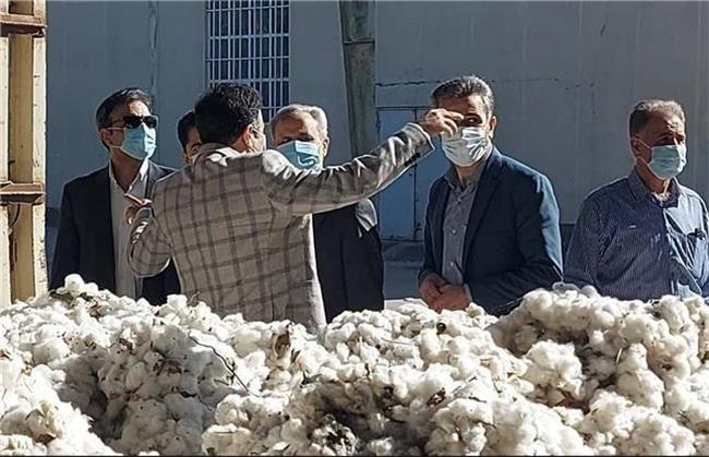 برداشت بیش از ۲۲ هزار تن پنبه در خراسان شمالی