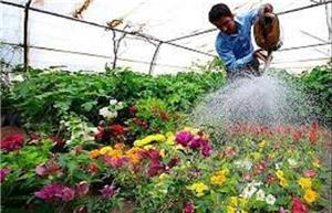 شهرداری بجنورد در تلاش برای بومی‌سازی چندین گیاه