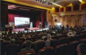 تأکید مسئولان بر حفاظت از یوز آسیایی؛ میاندشت جاجرم در کانون توجه محیط‌زیست کشور