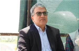 تحقق ۱۴۲ هزار هکتار کشت در طرح جهش تولید دیم‌زارهای خراسان شمالی