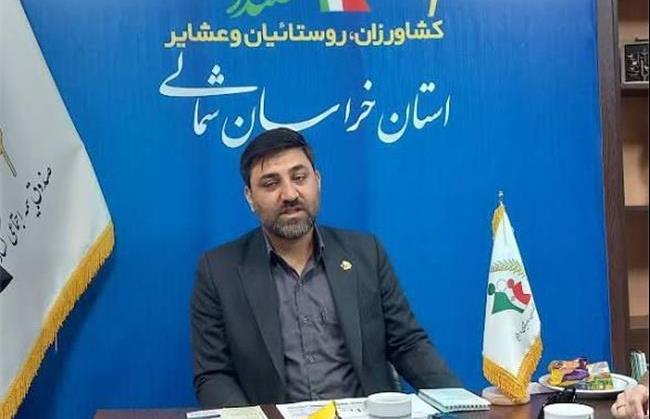 بهره مندی بیش از ۱۰۵۰۰ نفر از مادران دارای ۳ فرزند و بیشتر استان از مزایای صندوق بیمه روستاییان و عشایر