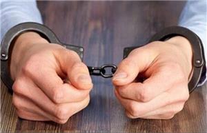 دستگیری سارقان حرفه ای در بجنورد