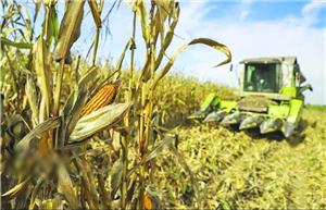 روستاها منبع با ارزش اقتصاد و اشتغال