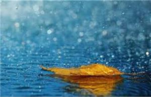 سامانه بارشی از ۶ اسفند به خراسان شمالی وارد می‌شود