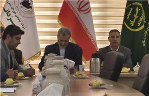 ظرفیت تولید سالانه ۶۲۸ هزار تن خوراک دام و طیور در خراسان شمالی