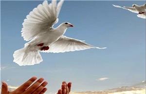 ۱۱۳ محکوم مالی از زندان‌های خراسان شمالی آزاد شدند